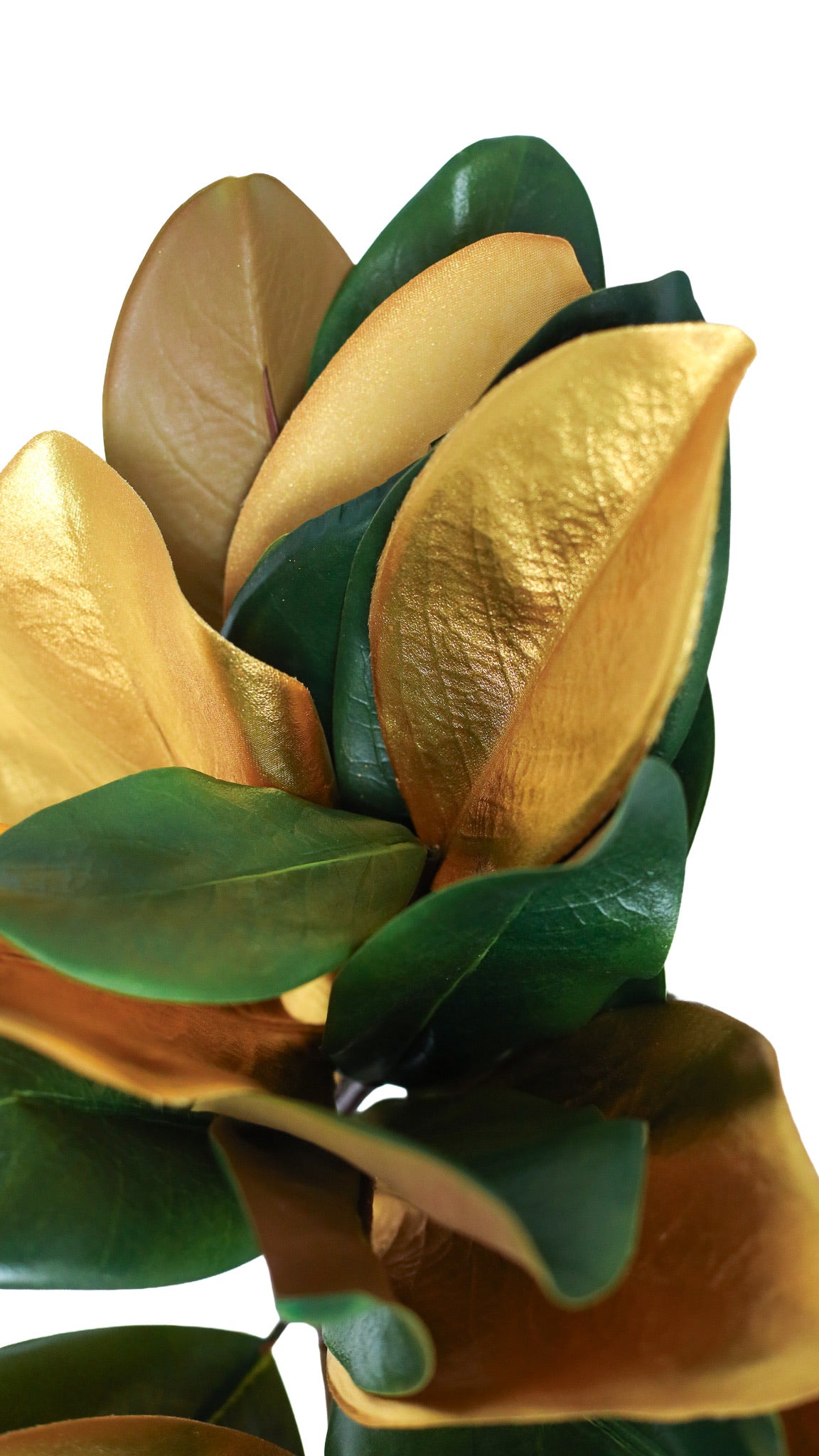 Gilded Magnolia Leaf Bundle of 3