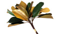 Gilded Magnolia Leaf Bundle of 3