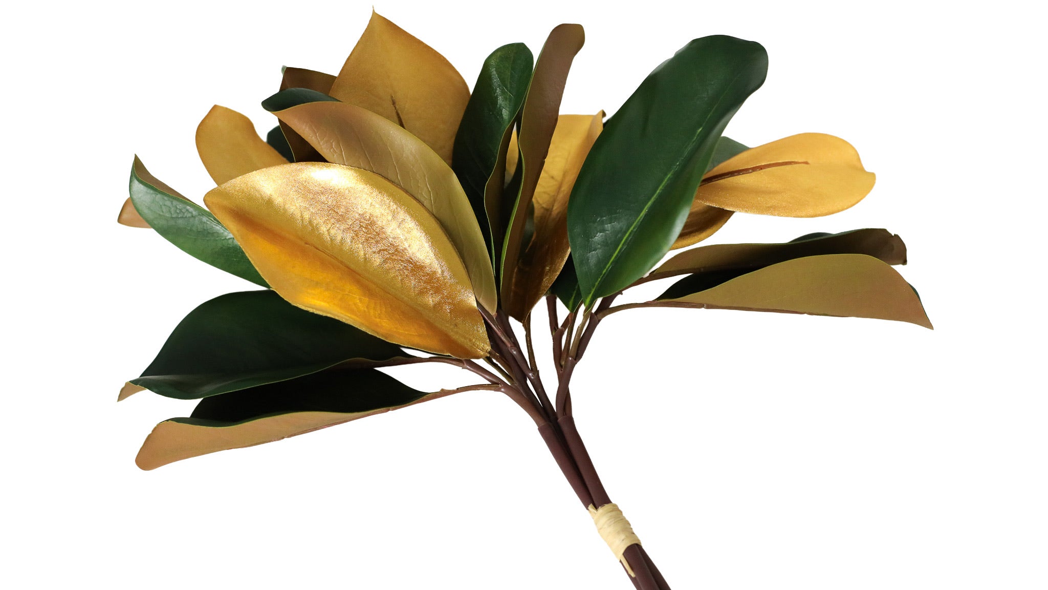 Gilded Magnolia Leaf Bundle of 3