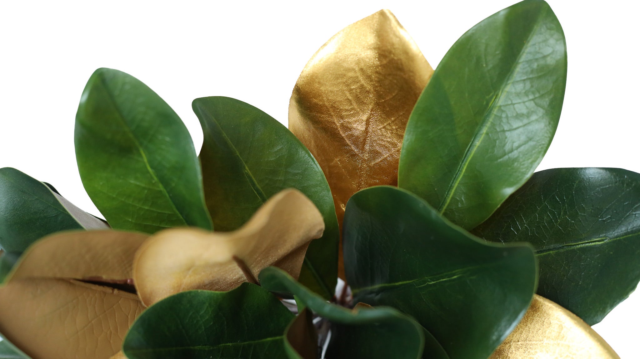 Gilded Magnolia Leaf Bundle of 3