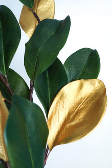 Gilded Magnolia Leaf Stem
