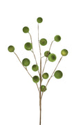 Green Moss Ball Stem