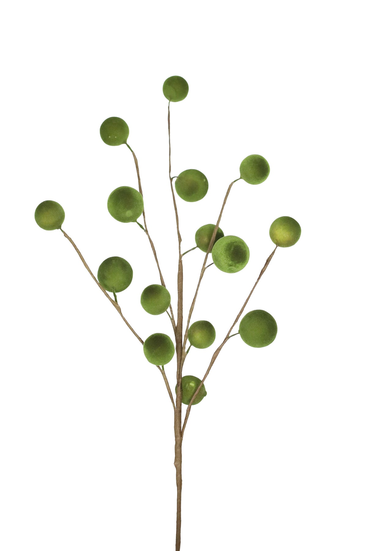 Green Moss Ball Stem