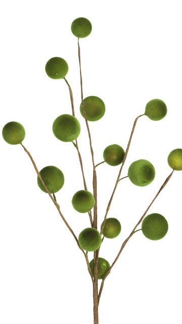 Green Moss Ball Stem
