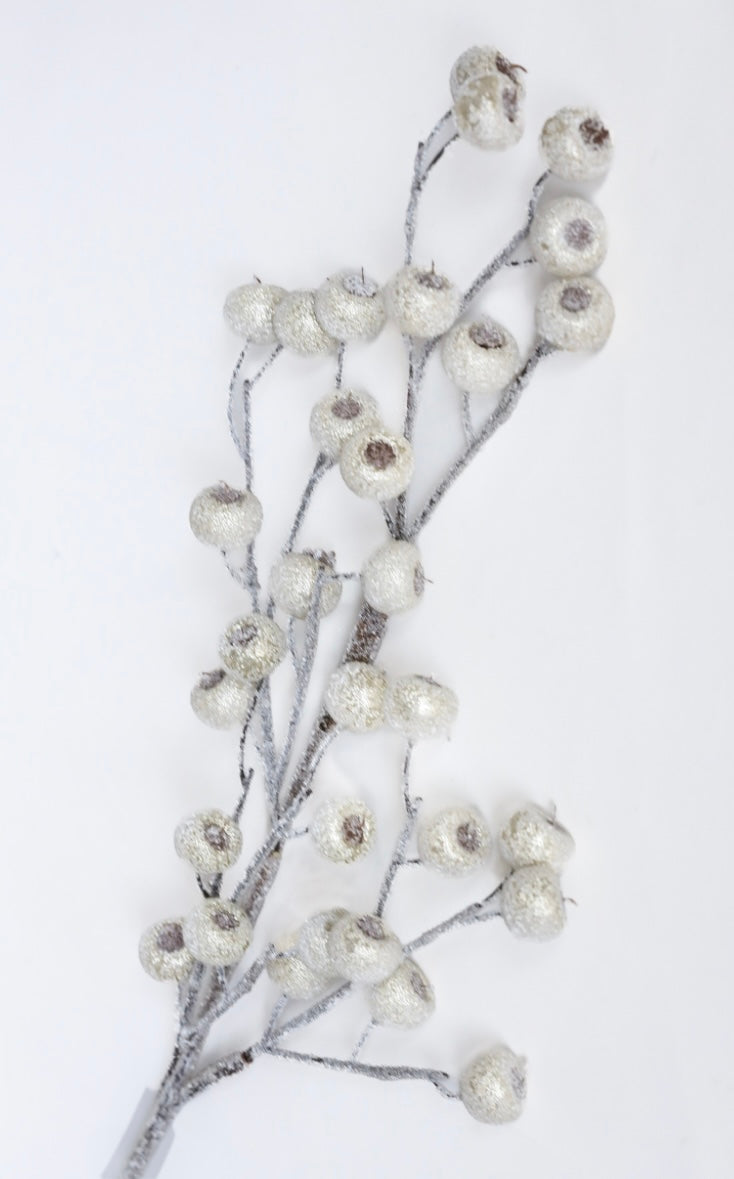 Beaded Crabapple Spray