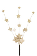 Metallic Starry Spray