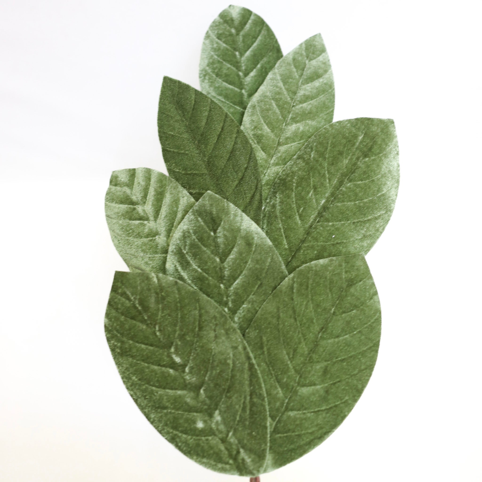 Velvet Magnolia Leaves Spray