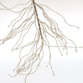 Pearly Willow Stem