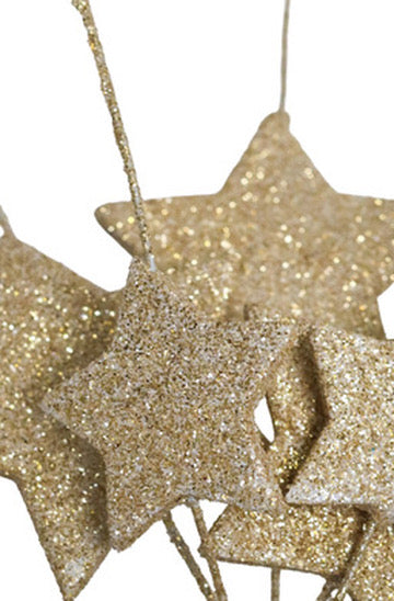 Metallic Starry Spray