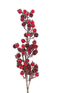 Red and Plum Iced Berry Spray