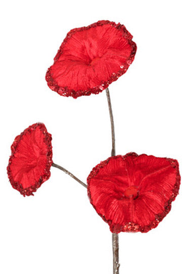 Red Christmas Glory Poppy