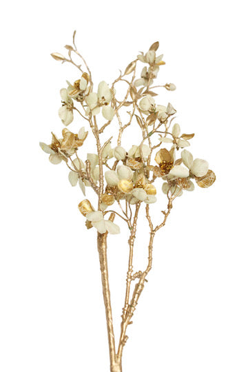 Winter Dogwood Spray