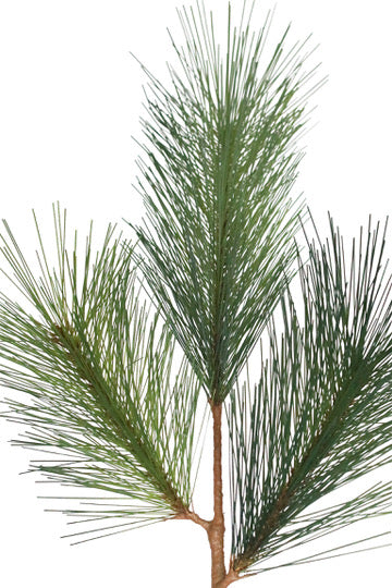 Delux Pine Branch