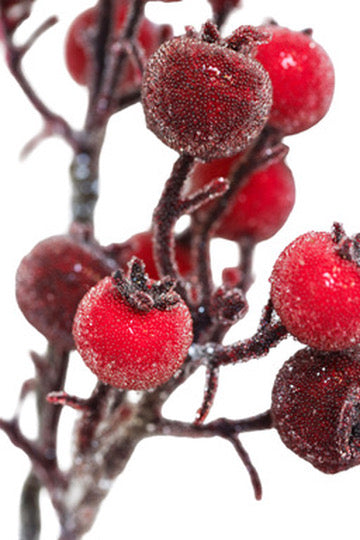 Red and Plum Iced Berry Spray