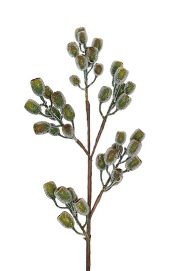 Winter Green Pod Spray
