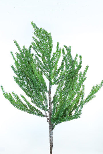 Iced Garden Norfolk Pine Branch