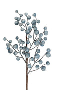 Iced Blue Berry Spray