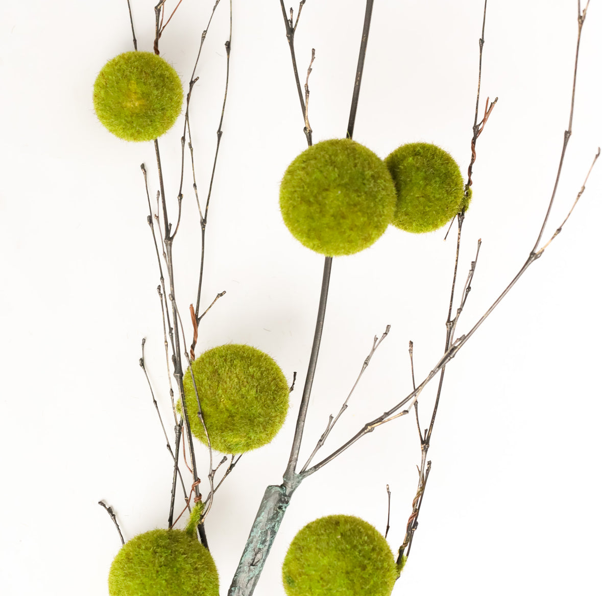 Moss Ball Branch