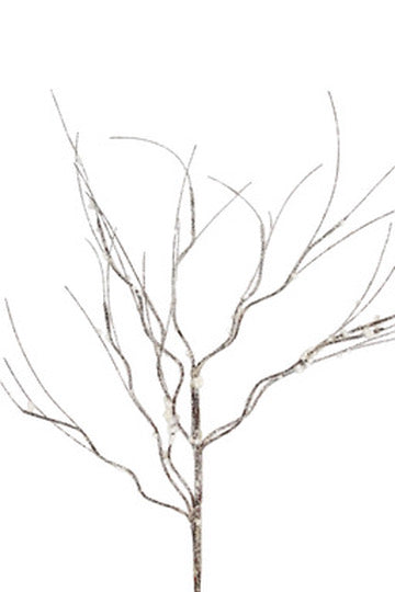 Frosted Curly Twig Spray