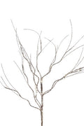 Frosted Curly Twig Spray