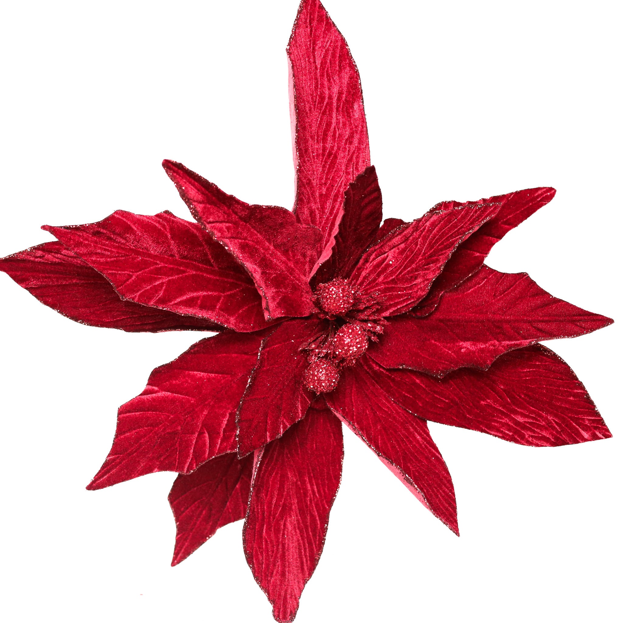 Burgundy Poinsettia Stem