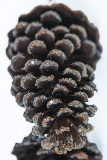 Iced Pine Cone Stem