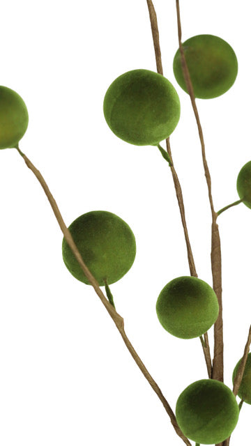 Green Moss Ball Stem