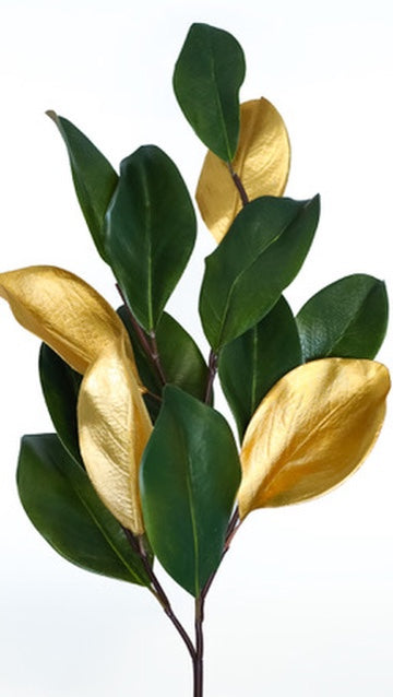 Gilded Magnolia Leaf Stem