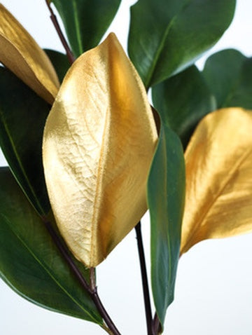 Gilded Magnolia Leaf Stem