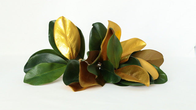 Gilded Magnolia Leaf Bundle of 3