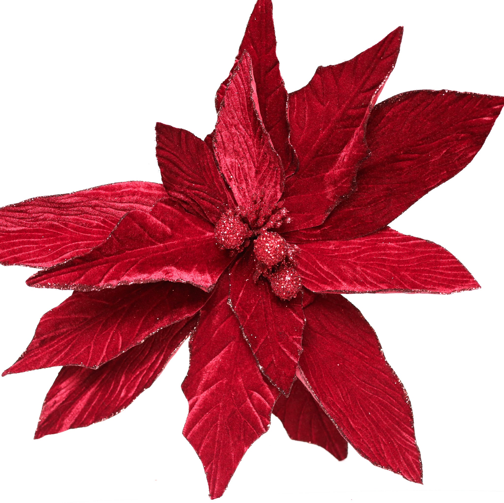 Burgundy Poinsettia Stem