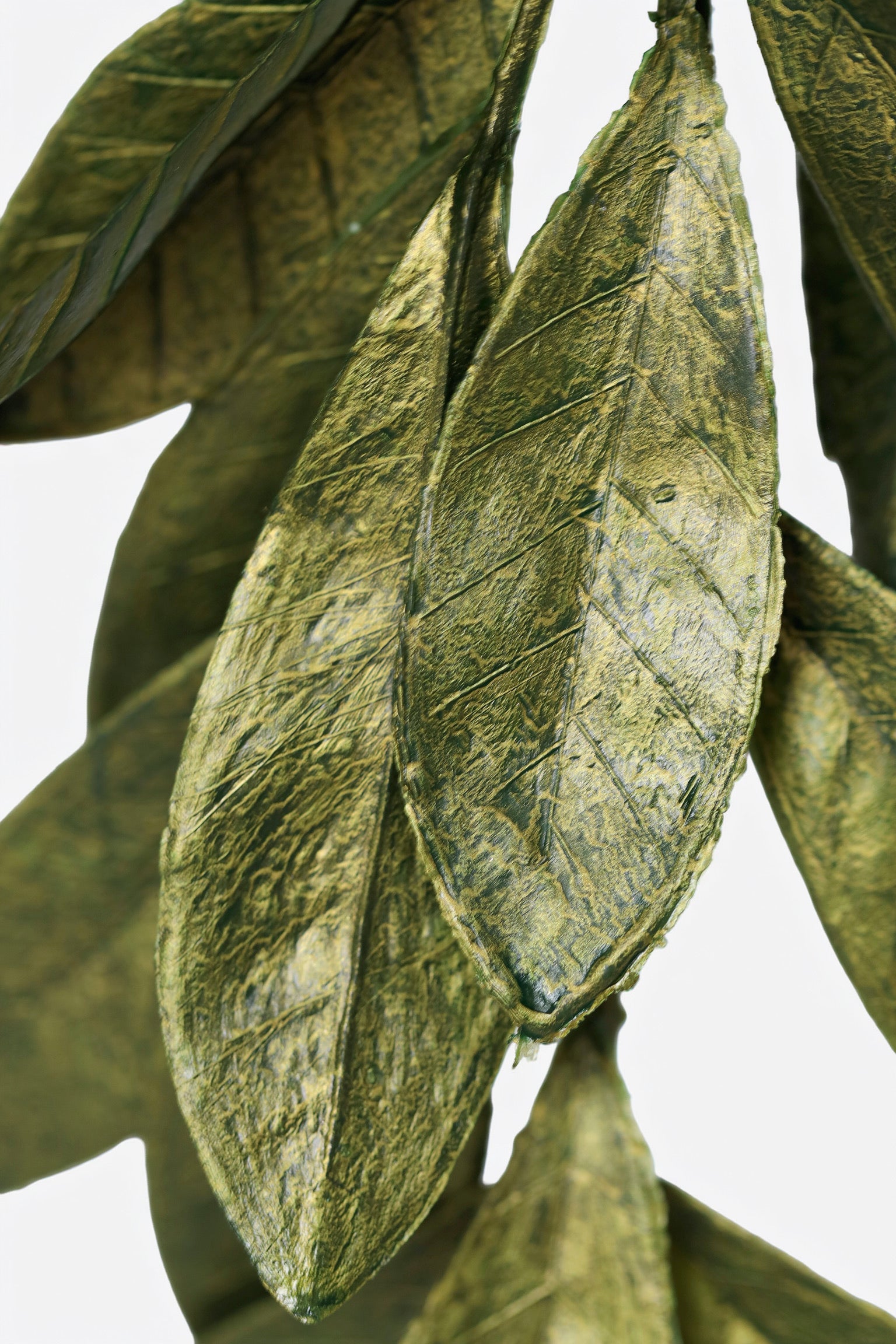 Bay Leaf Spray