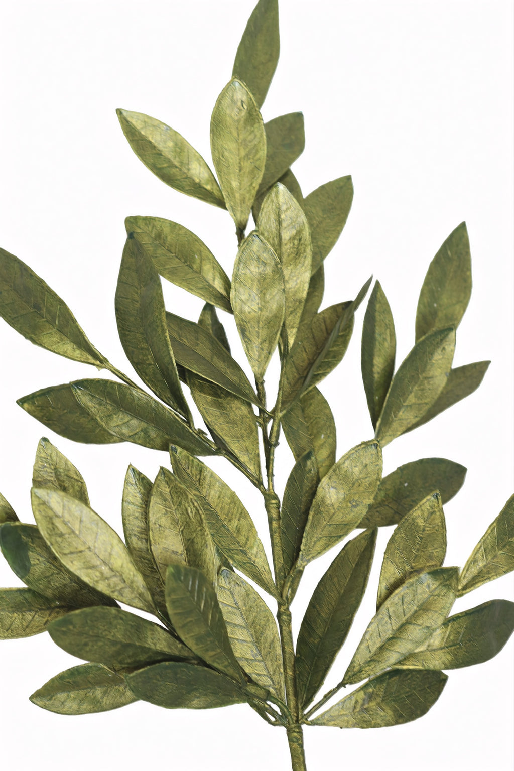 Bay Leaf Spray