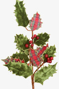 Holly Leaf Spray with Berry
