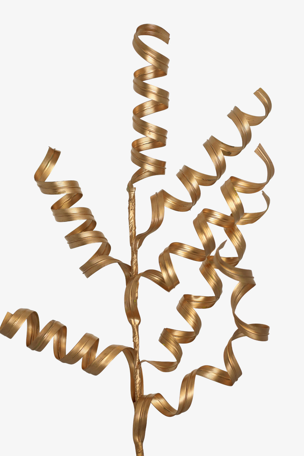 Spiral Grass Spray