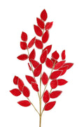 Ruscus Spray