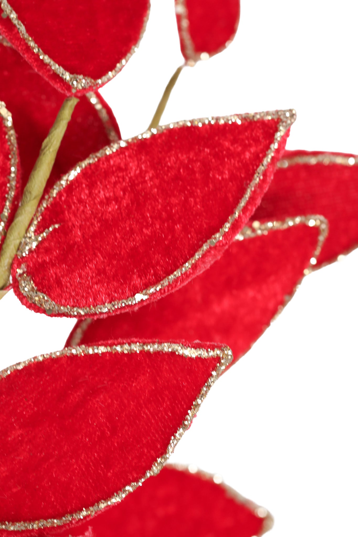 Ruscus Spray