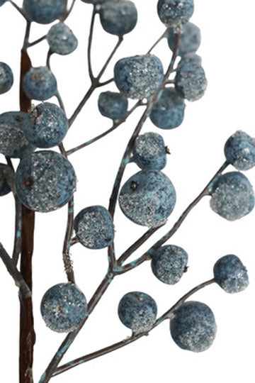 Iced Blue Berry Spray