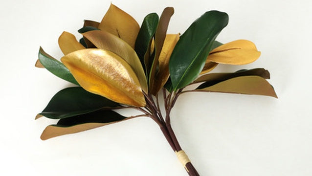 Gilded Magnolia Leaf Bundle of 3