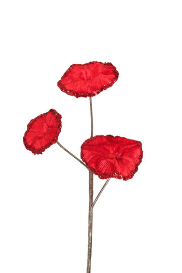 Red Christmas Glory Poppy