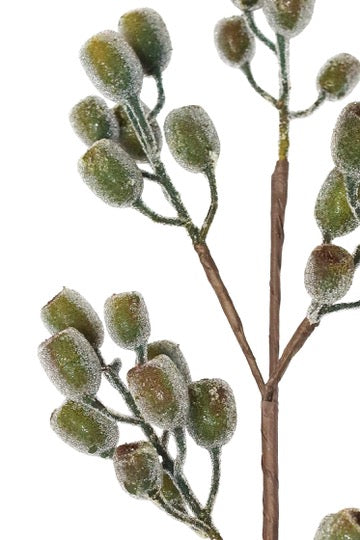 Winter Green Pod Spray