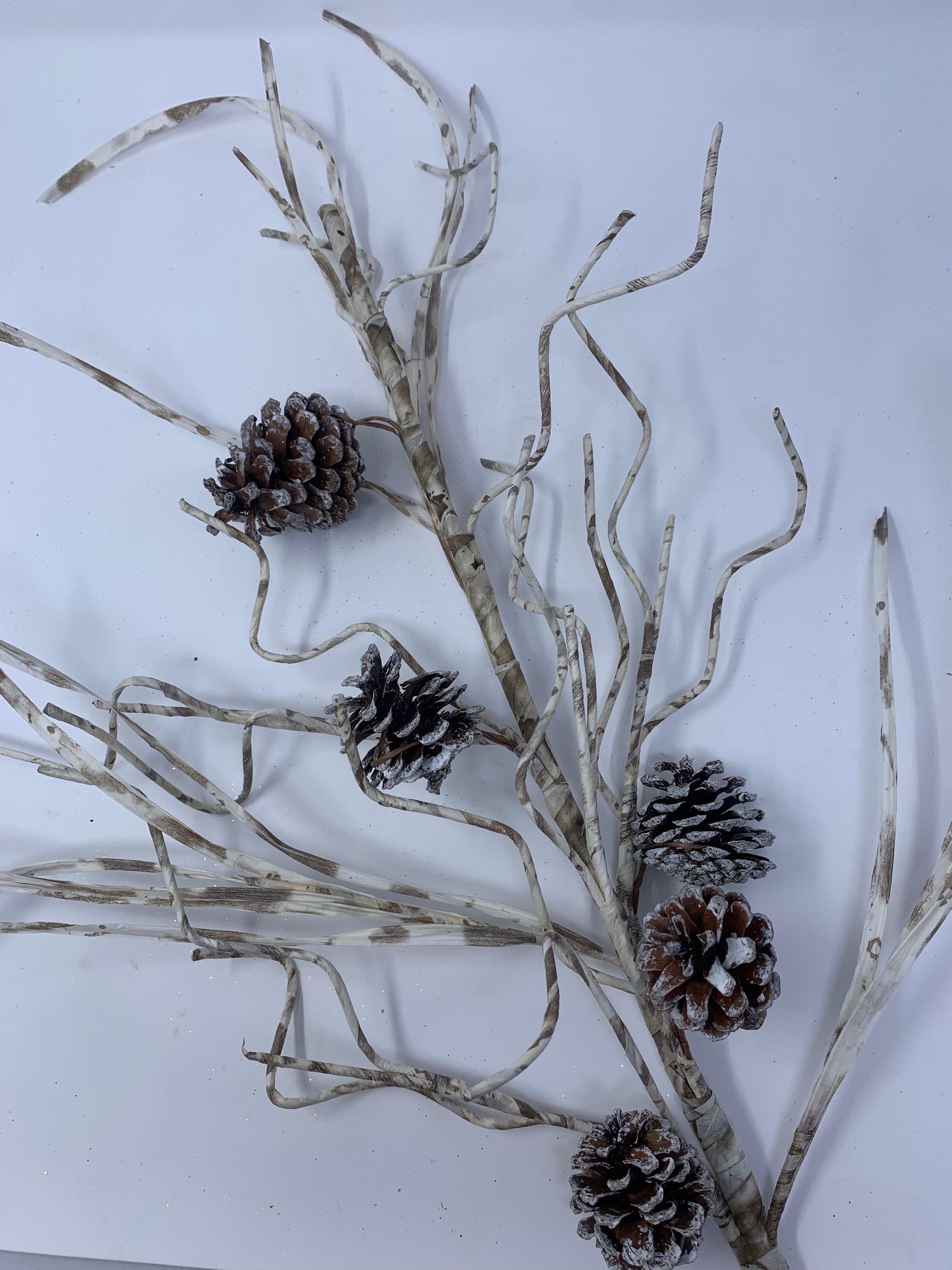 Birch Pinecone Spray